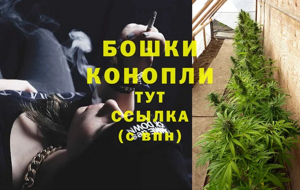 дживик Михайлов