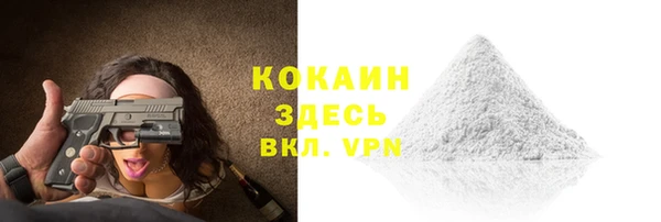 дживик Михайловск