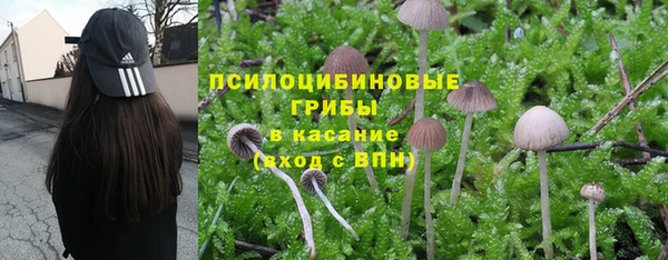 дживик Михайлов