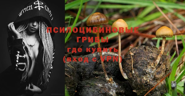 эйфоретик Надым