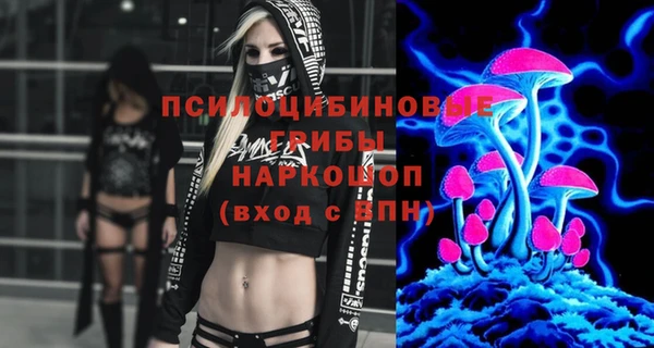 дживик Михайловск