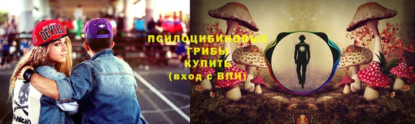 эйфоретик Надым